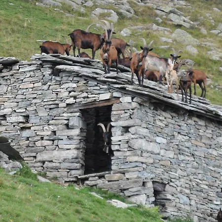 Farm stay Rifugio Salvin Cantoira