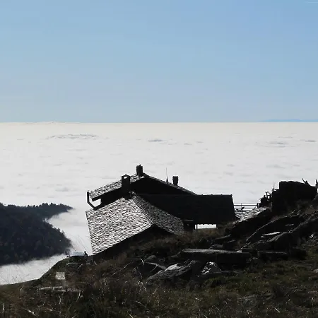 Farm stay Rifugio Salvin *