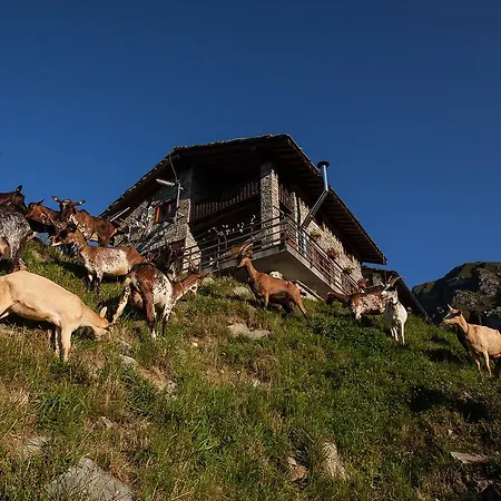 Rifugio Salvin Farm stay Cantoira